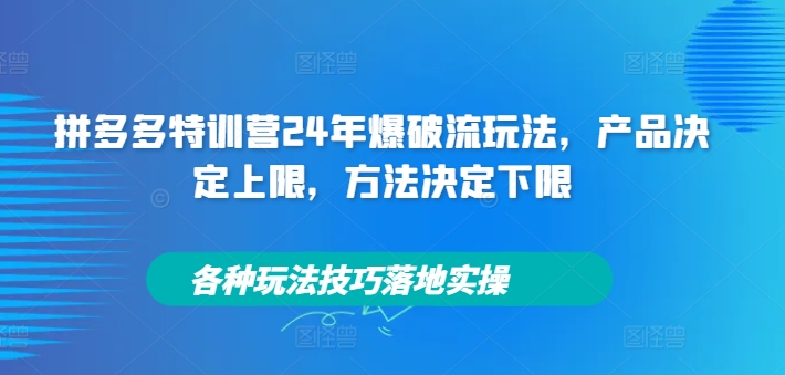 拼多多特训营24年爆破流玩法，产品决定上限，方法决定下限，各种玩法技巧落地实操-星火轻创