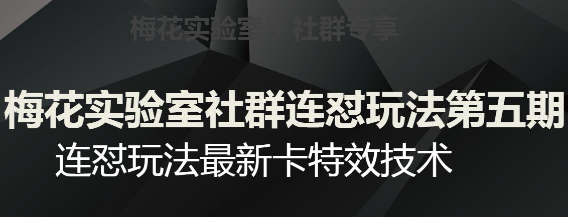 梅花实验室社群连怼玩法第五期，视频号连怼玩法最新卡特效技术-星火轻创