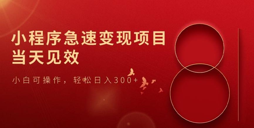 小程序急速变现项目，当天见效，小白可操作，轻松日入300+-星火轻创