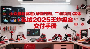 小众暴利赛道(球鞋定制，二创项目)实体+私域2025王炸组合  交付手册-星火轻创