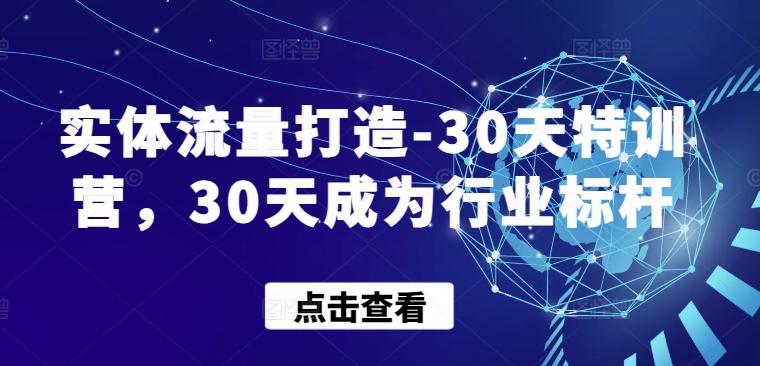 实体流量打造-30天特训营，30天成为行业标杆-星火轻创