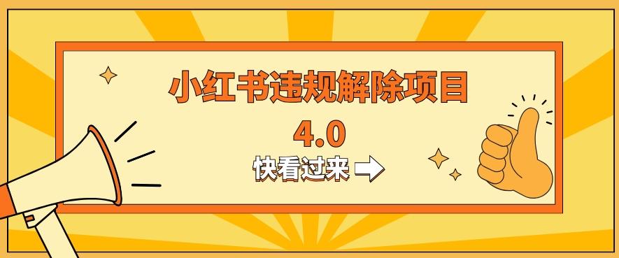 小红书违规掘金蓝海项目，日入800+（附带引流办法及解除办法）-星火轻创
