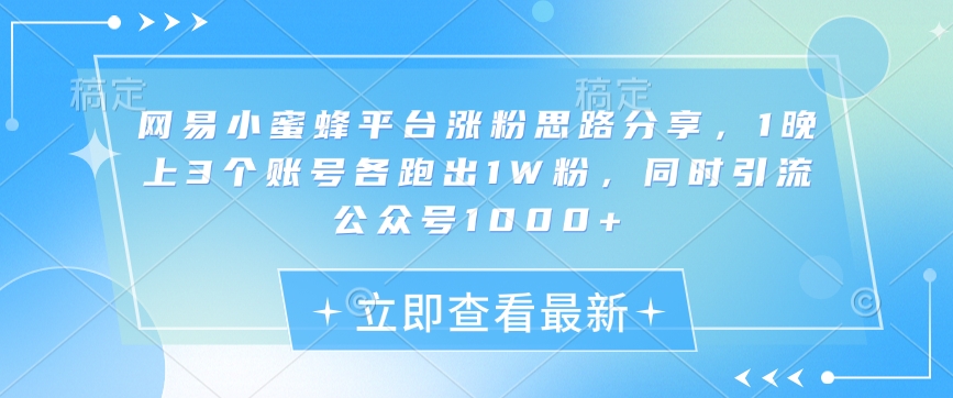 网易小蜜蜂平台涨粉思路分享，1晚上3个账号各跑出1W粉，同时引流公众号1000+-星火轻创