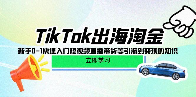 (10035期)TikTok-出海淘金，新手0-1快速入门短视频直播带货等引流到变现的知识-星火轻创