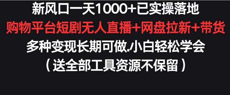 新风口一天1000+已实操落地购物平台短剧无人直播+网盘拉新+带货多种变现长期可做【揭秘】-星火轻创