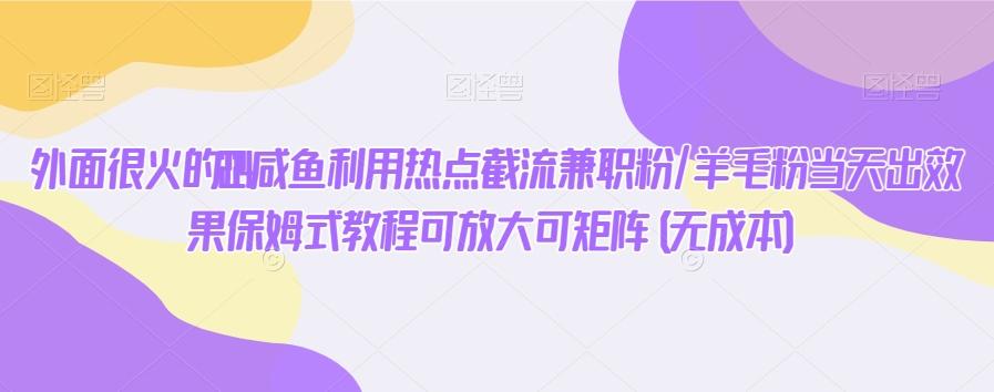外面很火的2024咸鱼利用热点截流兼职粉/羊毛粉当天出效果保姆式教程可放大可矩阵(无成本)-星火轻创