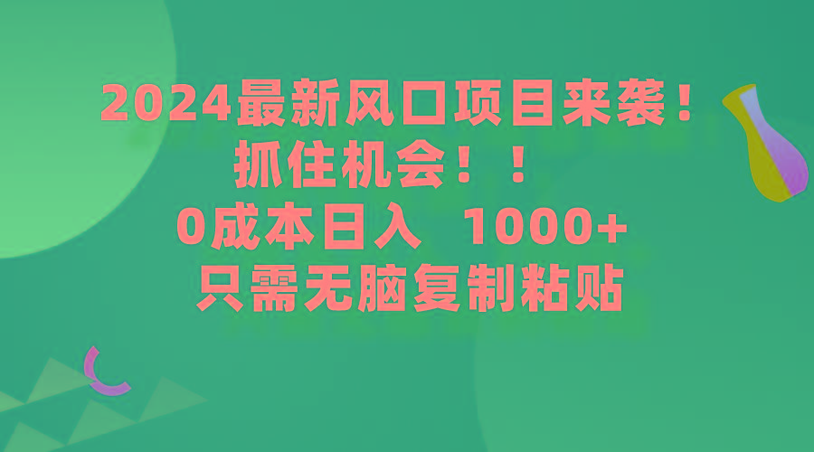 (9899期)2024最新风口项目来袭，抓住机会，0成本一部手机日入1000+，只需无脑复…-星火轻创