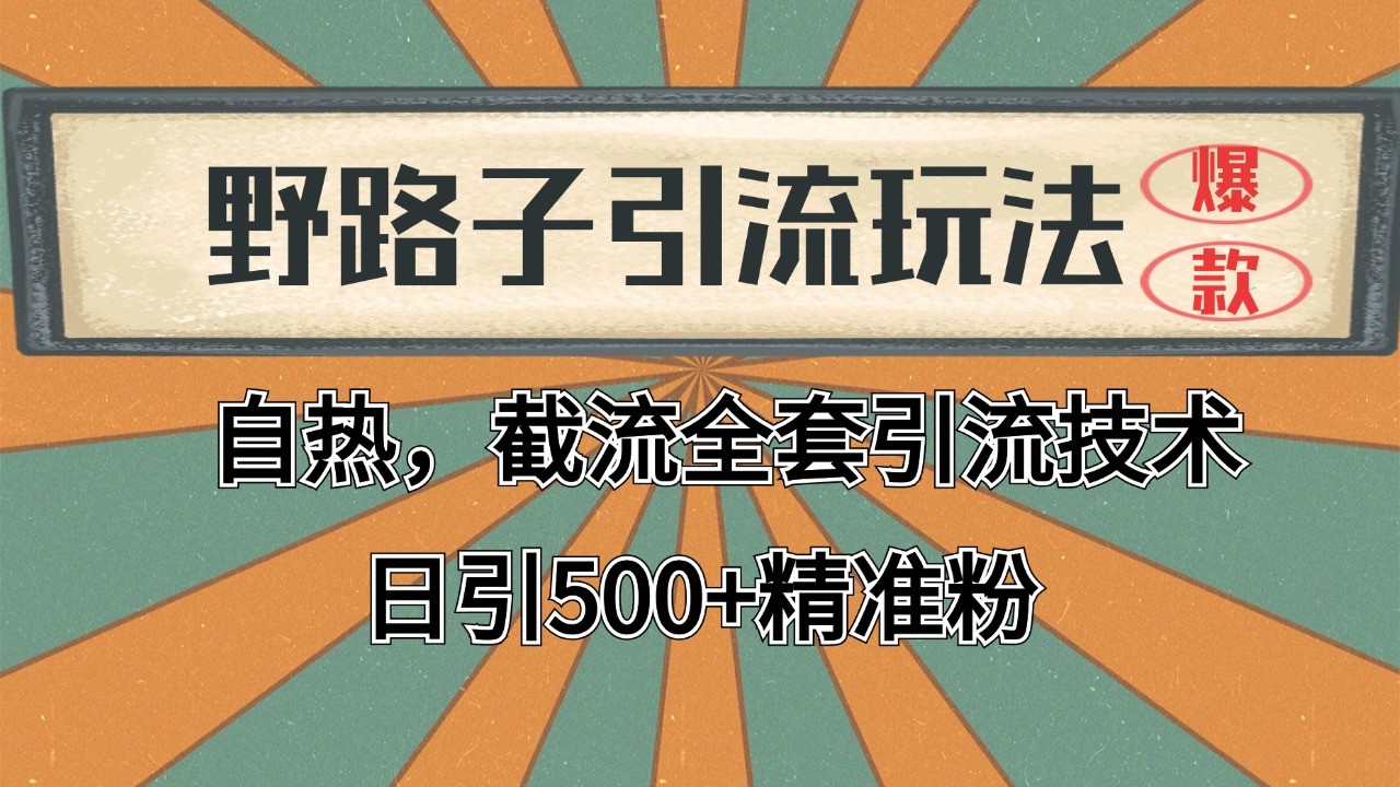2024首发野路子引流玩法截流自热全平台打法,全自动引流【日引2000+精准客户】-星火轻创