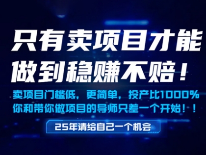 只有卖项目才能做到稳挣不赔，门槛低，更简单，你也可以年入百个W【揭秘】-星火轻创