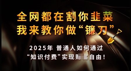 知识付费如何做到月入过W+，2025我来教你做“镰刀”【揭秘】-星火轻创
