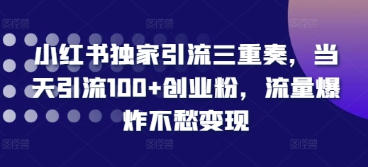 小红书独家引流三重奏，当天引流100+创业粉，流量爆炸不愁变现【揭秘】-星火轻创
