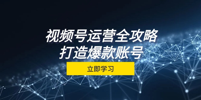 视频号运营全攻略，从定位到成交一站式学习，视频号核心秘诀，打造爆款...-星火轻创