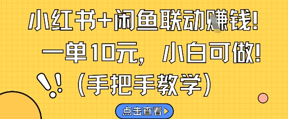 小红书+闲鱼联动挣钱，一单10元，小白可做-星火轻创