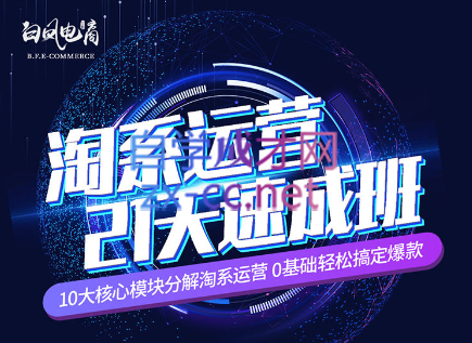 淘系运营21天速成班(更新7月)-星火轻创