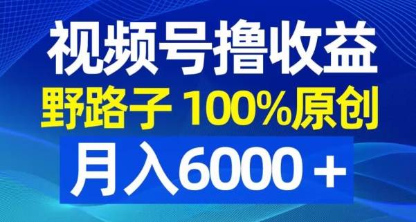 视频号野路子撸收益，100%原创，条条爆款，月入6000＋【揭秘】-星火轻创