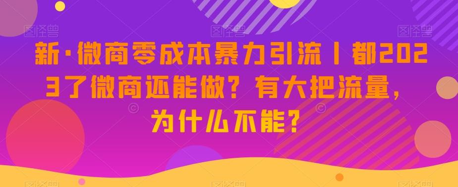新·微商零成本暴力引流丨都2023了微商还能做？有大把流量，为什么不能？-星火轻创