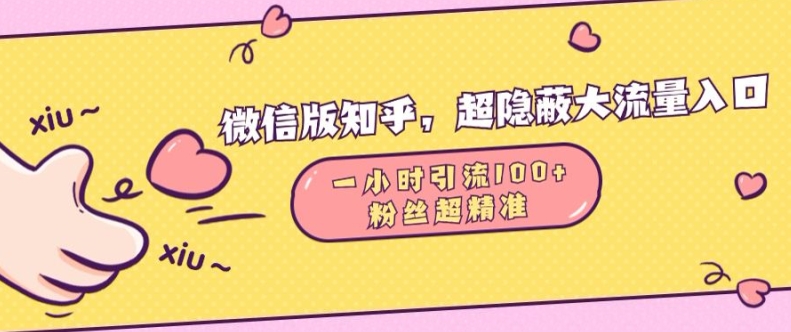 微信版知乎，超隐蔽流量入口1小时引流100人，粉丝质量超高【揭秘】-星火轻创