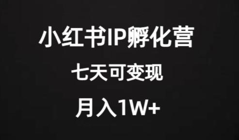 价值2000+的小红书IP孵化营项目，超级大蓝海，七天即可开始变现，稳定月入1W+-星火轻创