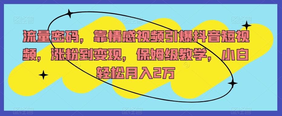 流量密码，靠情感视频引爆抖音短视频，涨粉到变现，保姆级教学，小白轻松月入2万【揭秘】-星火轻创