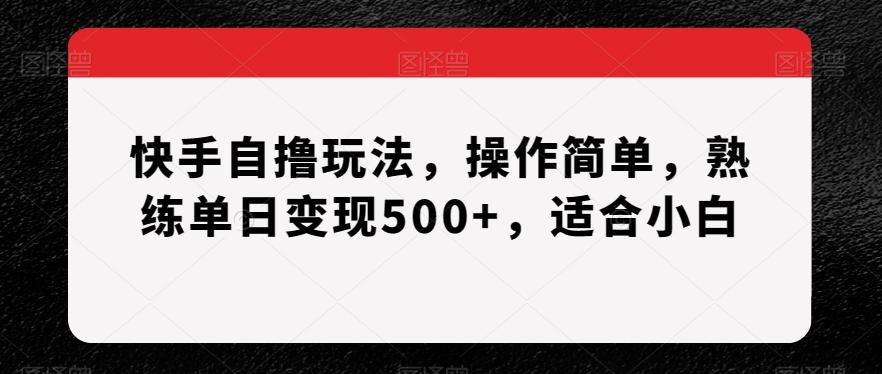 快手自撸玩法，操作简单，熟练单日变现500+，适合小白【揭秘】-星火轻创