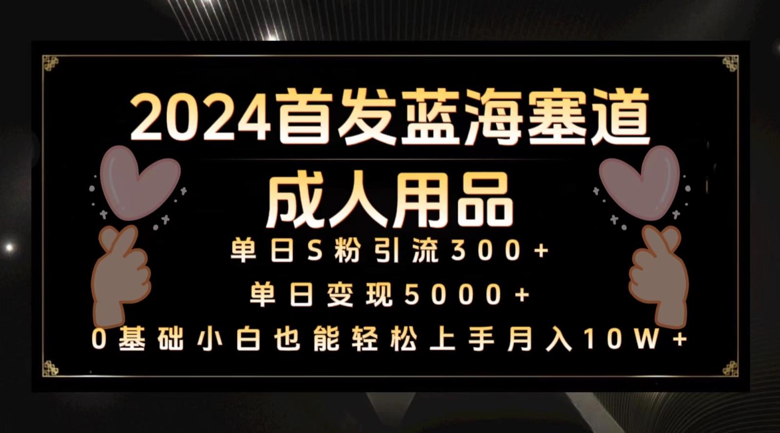 2024首发蓝海塞道成人用品,月入10W+保姆教程-星火轻创