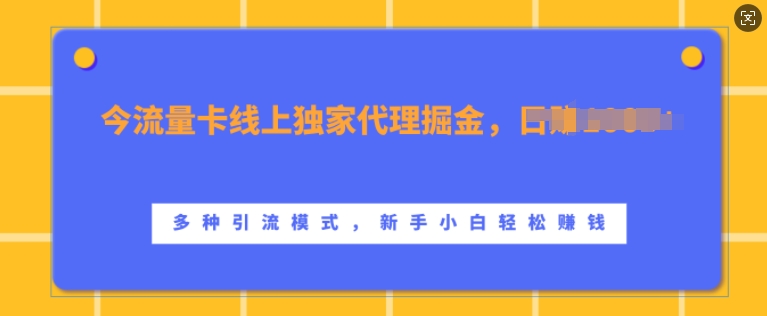 流量卡线上独家代理掘金，日入1k+ ，多种引流模式，新手小白轻松上手【揭秘】-星火轻创