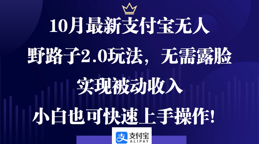 10月最新支付宝无人野路子2.0玩法，无需露脸，实现被动收入，小白也可...-星火轻创