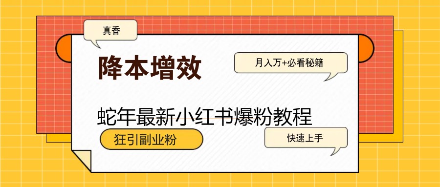 蛇年最新小红书爆粉教程，狂引副业粉，月入万+必看-星火轻创