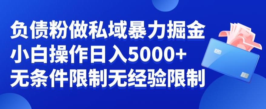 负债粉私域暴力掘金，小白操作入5000，无经验限制，无条件限制【揭秘】-星火轻创