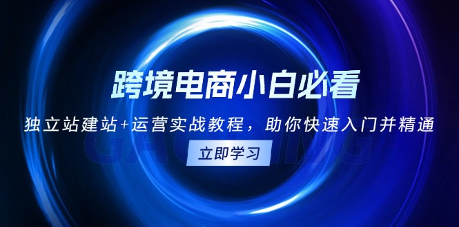 跨境电商小白必看！独立站建站+运营实战教程，助你快速入门并精通-星火轻创