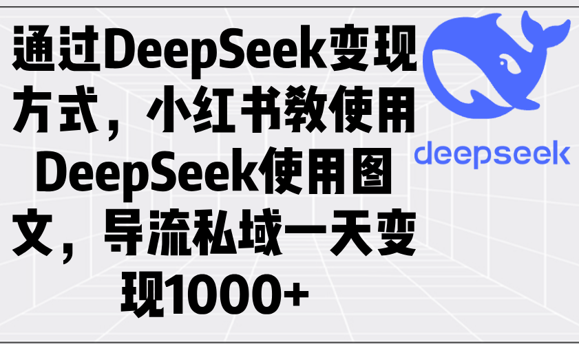 通过DeepSeek变现方式，小红书教使用DeepSeek图文，导流私域一天变现1000+-星火轻创