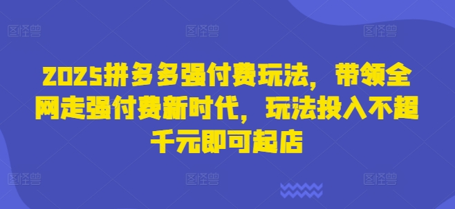 2025拼多多强付费玩法，带领全网走强付费新时代，玩法投入不超千元即可起店-星火轻创