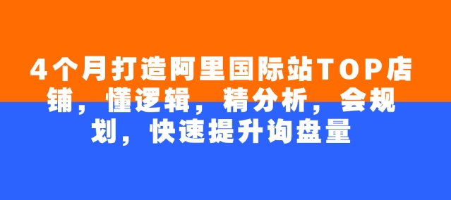 4个月打造阿里国际站TOP店铺，懂逻辑，精分析，会规划，快速提升询盘量-星火轻创