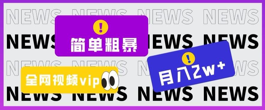简单粗暴零成本，高回报，全网视频VIP掘金项目，月入2万＋【揭秘】-星火轻创