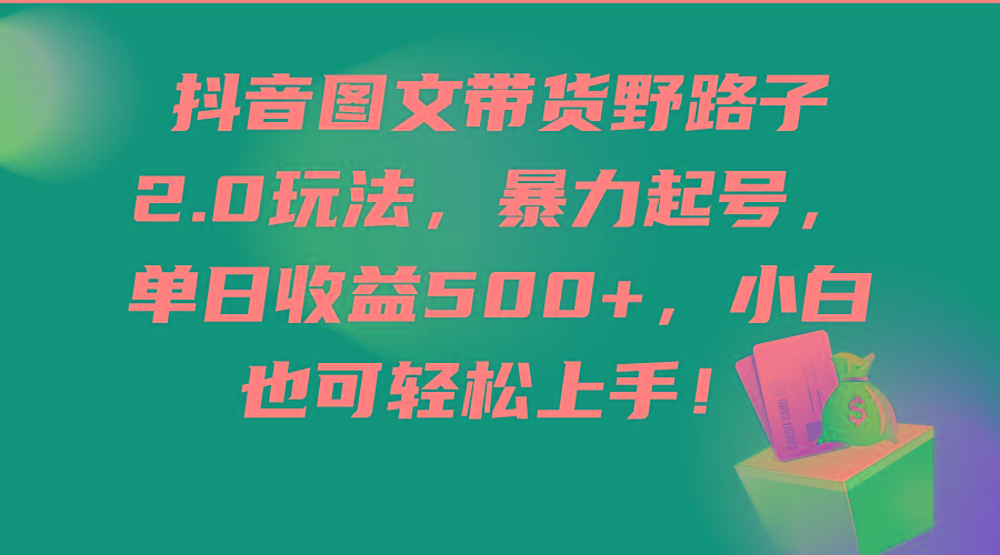 (9790期)抖音图文带货野路子2.0玩法，暴力起号，单日收益500+，小白也可轻松上手！-星火轻创