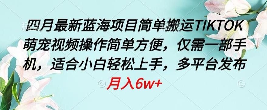 四月最新蓝海项目，简单搬运TIKTOK萌宠视频，操作简单方便，仅需一部手机【揭秘】-星火轻创