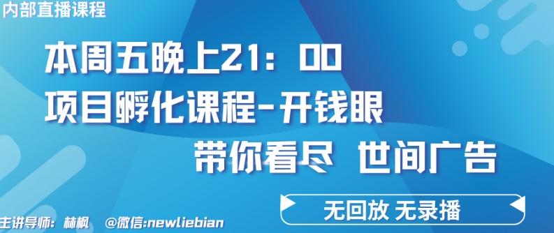 4.26日内部回放课程《项目孵化-开钱眼》赚钱的底层逻辑【揭秘】-星火轻创