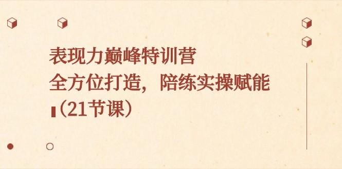 表现力巅峰特训营，全方位打造，陪练实操赋能（21节课）-星火轻创