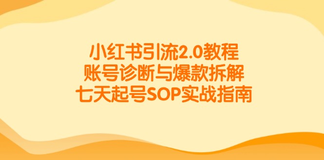 小红书引流2.0教程，账号诊断与爆款拆解，七天起号SOP实战指南-星火轻创