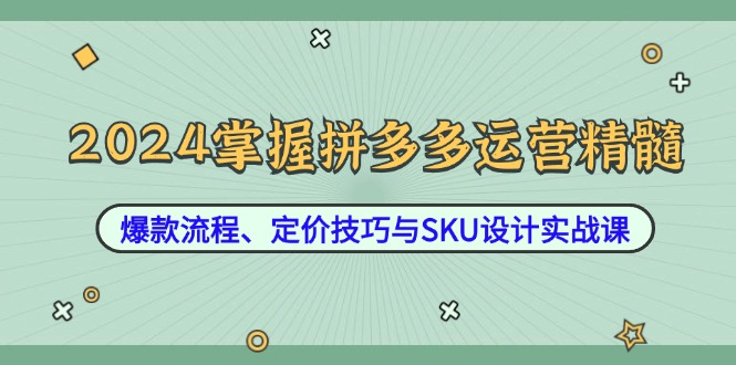 2024掌握拼多多运营精髓：爆款流程、定价技巧与SKU设计实战课-星火轻创