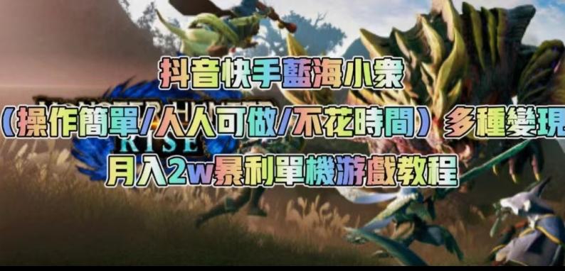 抖音快手蓝海小众（操作简单人人可做不花时间）多种变现月入2w＋暴利单机游戏教程-星火轻创