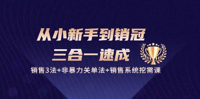 从小新手到销冠 三合一速成：销售3法+非暴力关单法+销售系统挖需课 (27节-星火轻创
