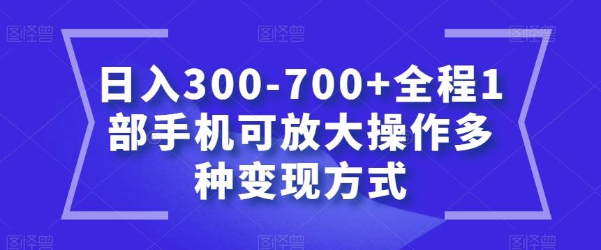 日入300-700+全程1部手机可放大操作多种变现方式【揭秘】-星火轻创
