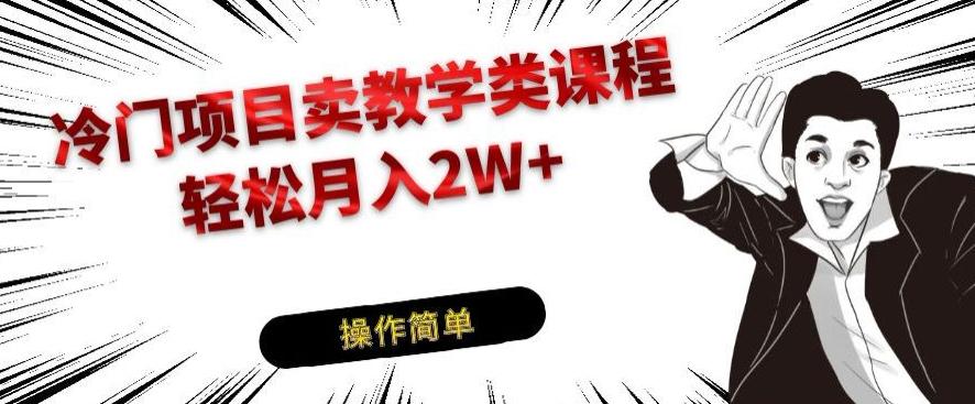 冷门项目卖教学类课程，轻松月入2W+-星火轻创