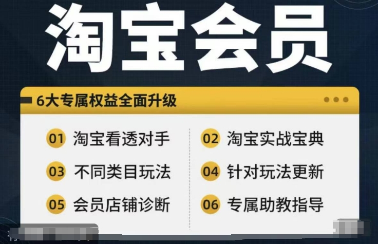 淘宝会员【淘宝所有课程，全面分析对手】，初级到高手全系实战宝典-星火轻创