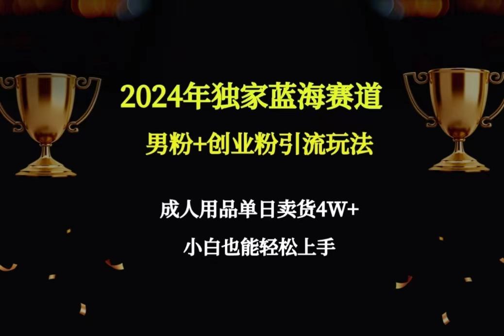 2024年独家蓝海赛道男粉+创业粉引流玩法，成人用品单日卖货4W+保姆教程-星火轻创