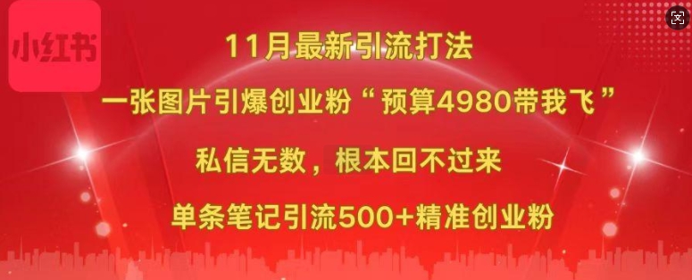 小红书11月最新图片打粉，一张图片引爆创业粉，“预算4980带我飞”，单条引流500+精准创业粉-星火轻创