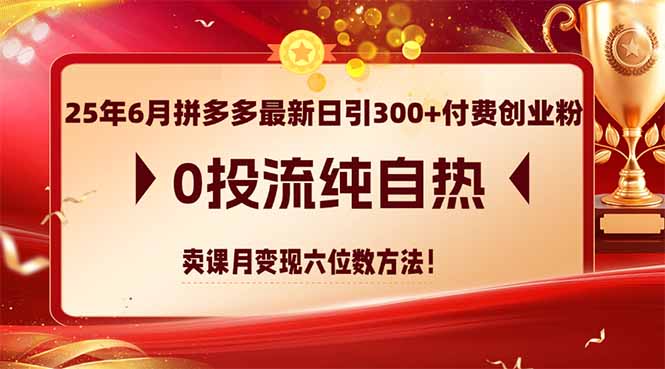 25年6月拼多多最新日引300+付费创业粉，0投流纯自热 卖课月变现六位数方法-星火轻创