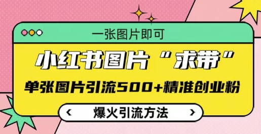 小红书图片‘求带’爆火引流法，单张图片引流500+精准创业粉【揭秘】-星火轻创