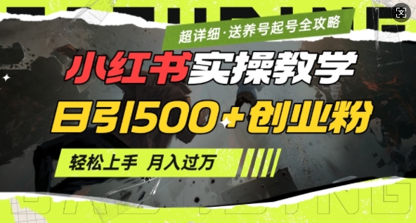 2月小红书最新日引500+创业粉实操教学【超详细】小白轻松上手，月入1W+，附小红书养号起号SOP-星火轻创
